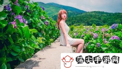 夫妻之间一次又一次的欺骗电视剧