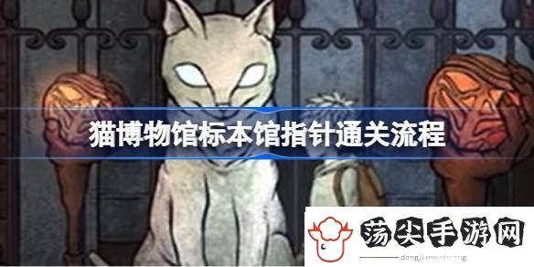 猫博物馆标本馆指针怎么通关