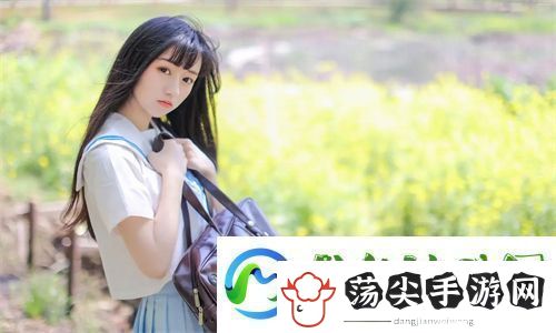揭秘！X老B和XB的五大核心区别