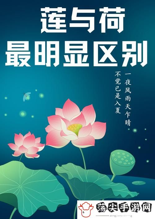 倒插莲花男女之间的寓意