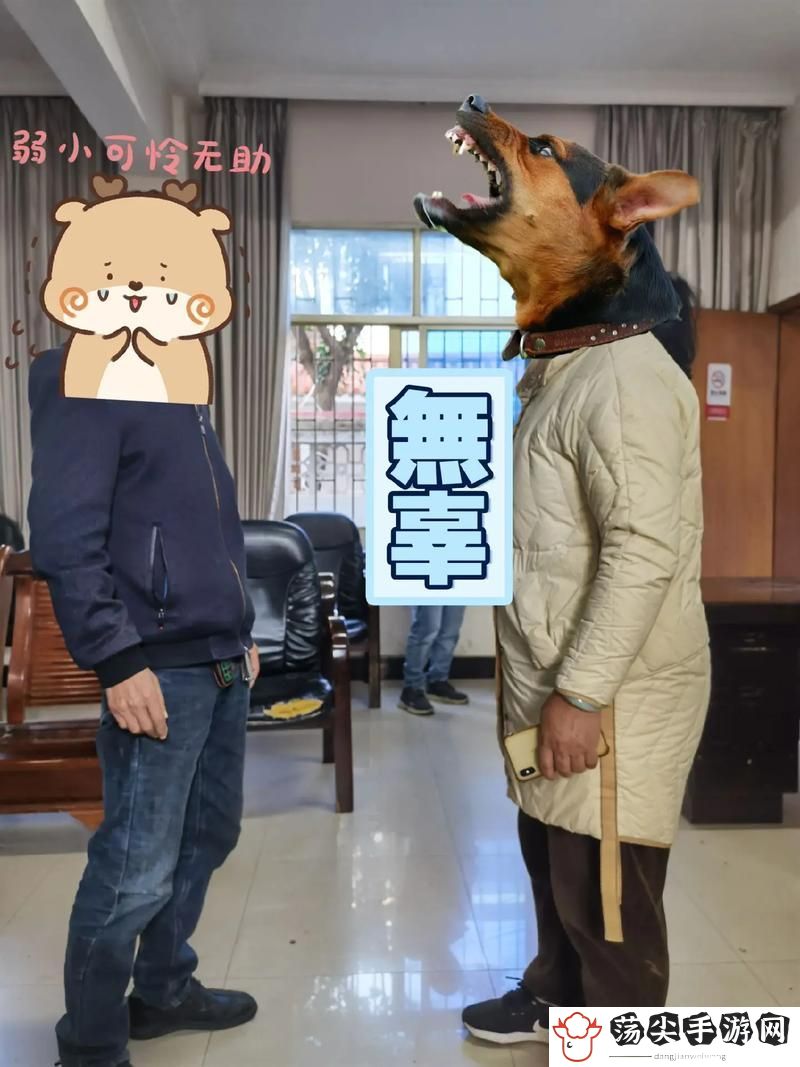 人狗畜禽companylimited