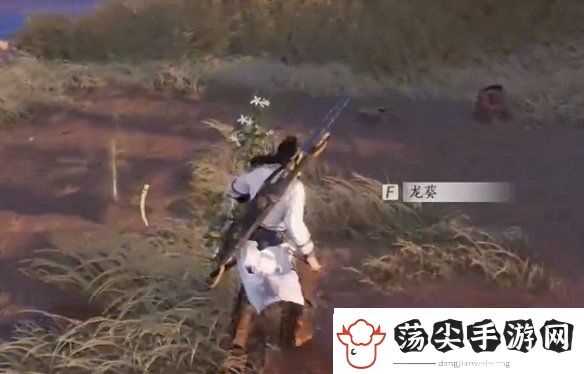 燕云十六声杏花不见怎么获得