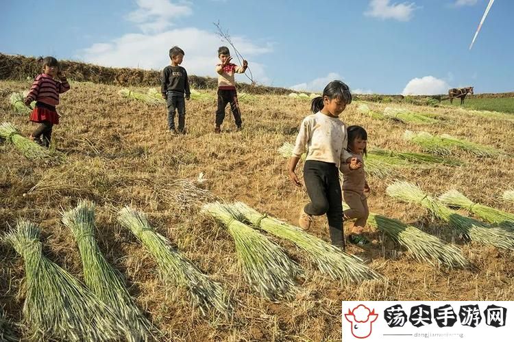 儿子辛勤耕耘母亲的土地