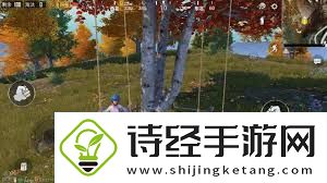和平精英野餐彩蛋位置一览系统经验值获取最大化方案