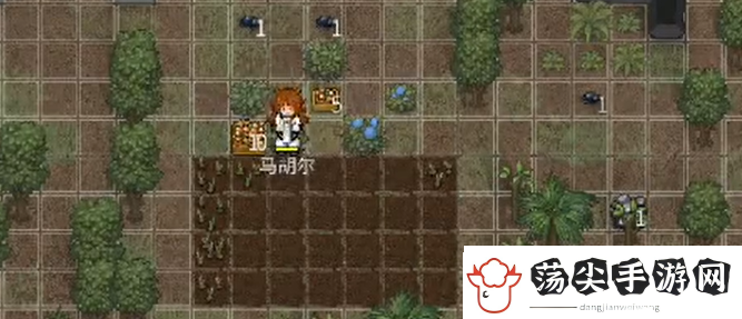 秩序新曙光怎么玩