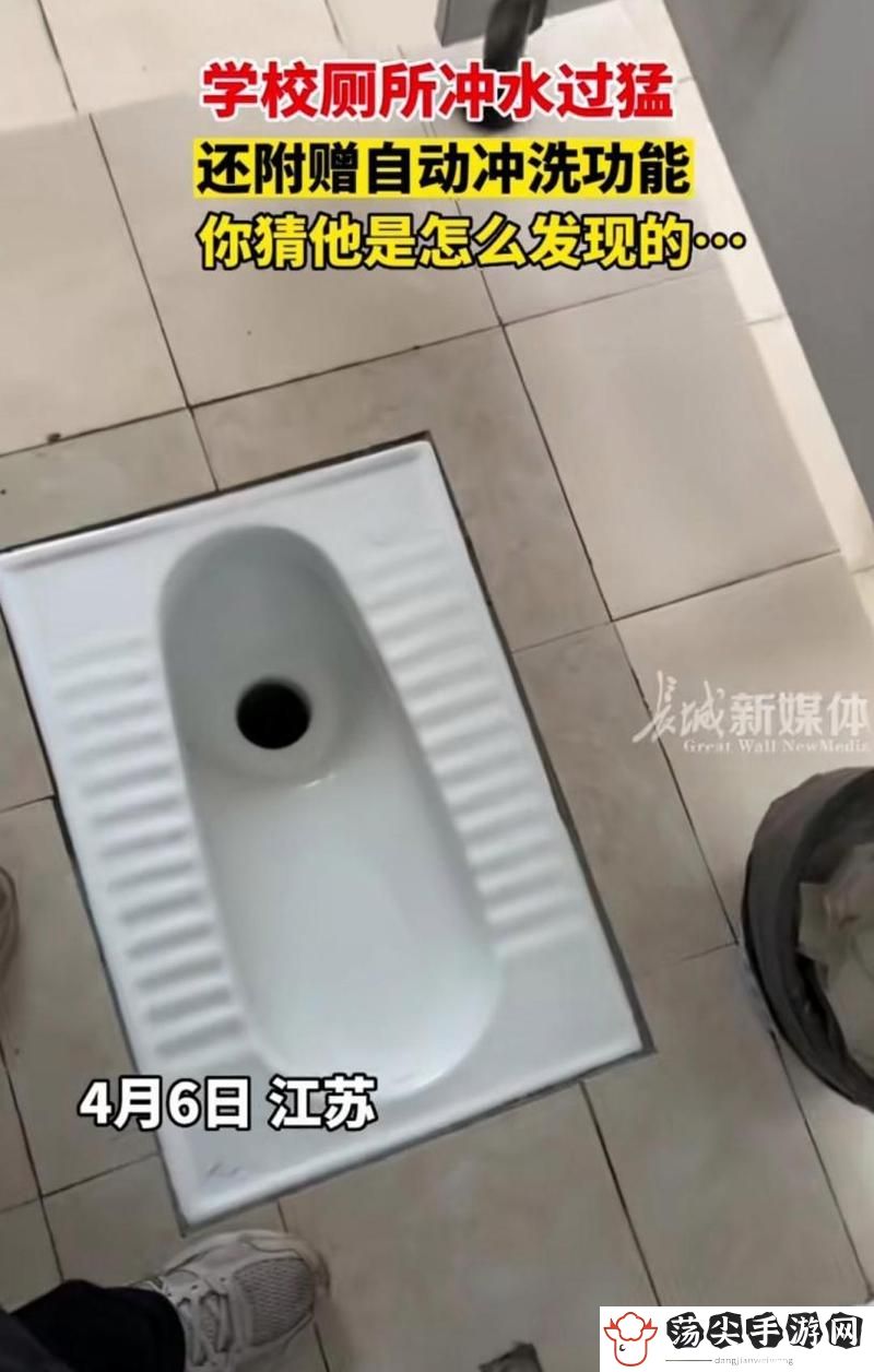 考试不好就要当学校的坐便器