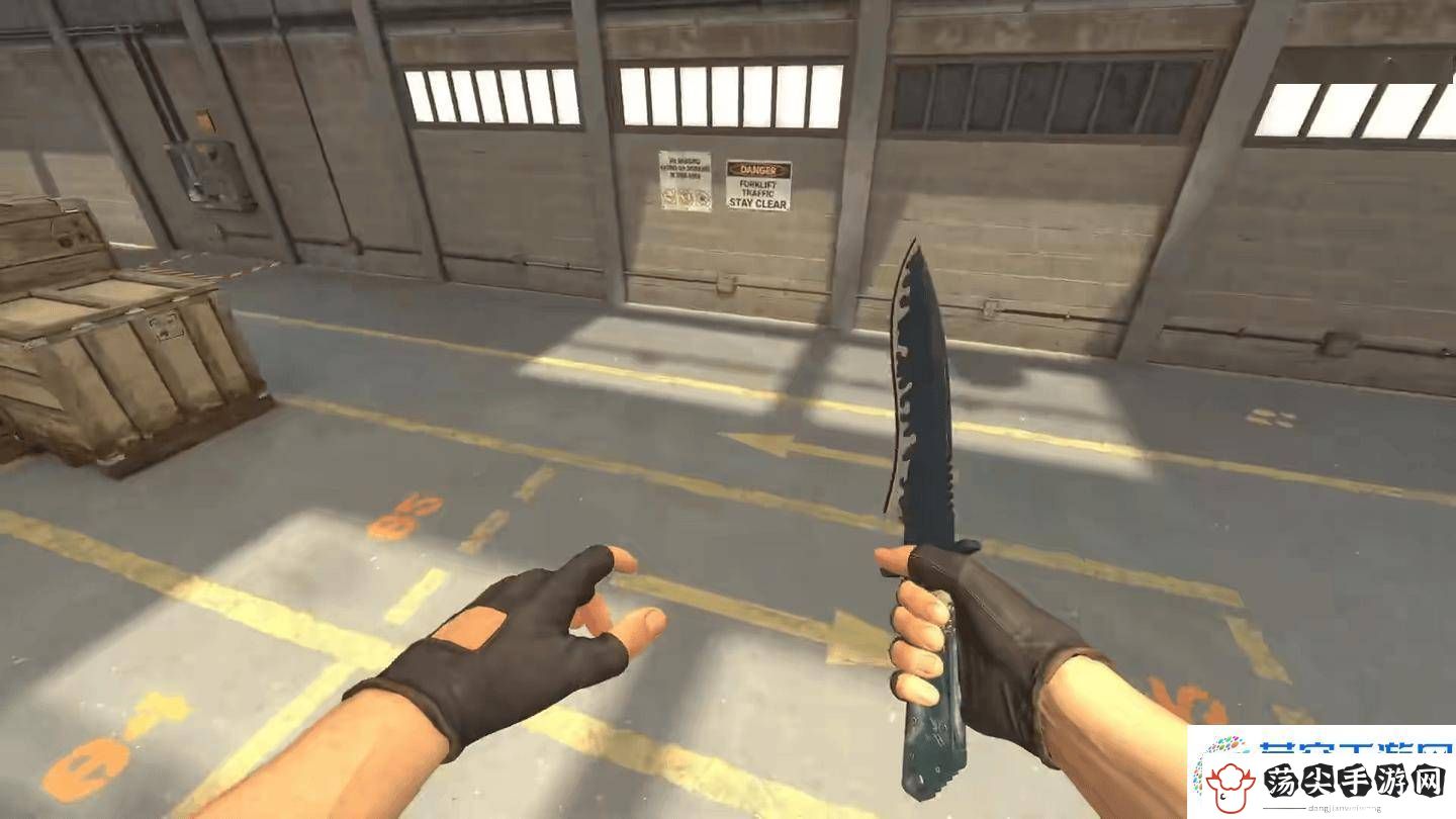 CS