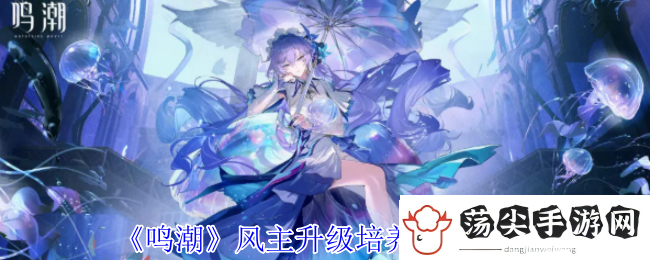 鸣潮风主升级培养材料一览