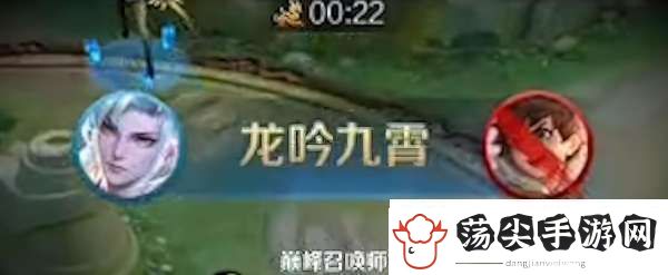 王者最稀有的六个播报