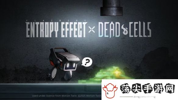 双厨狂喜!苍翼