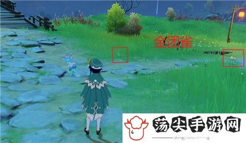原神金团雀在什么地方-宠物技能克制与反制