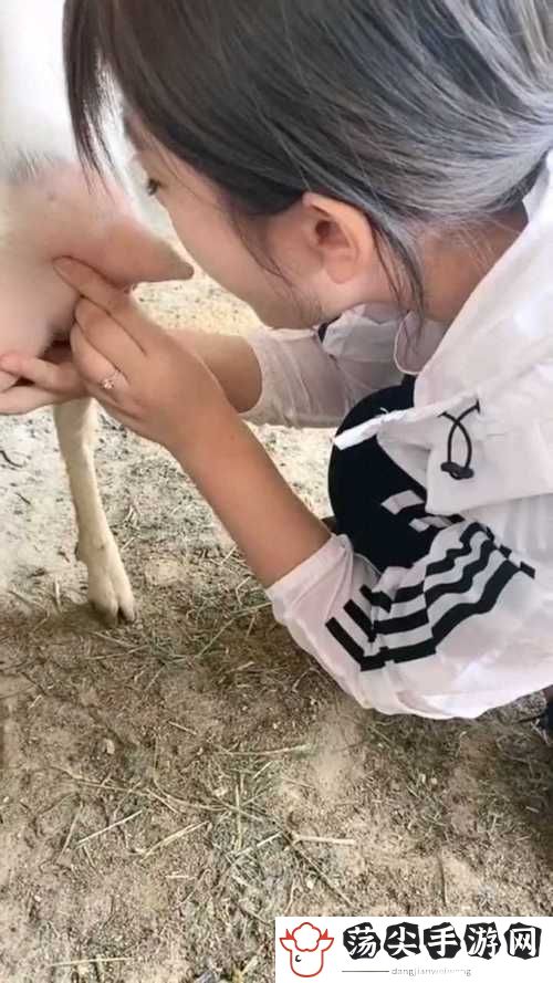 人玩山羊水门的视频
