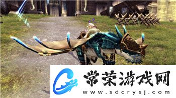 决斗之城教程1