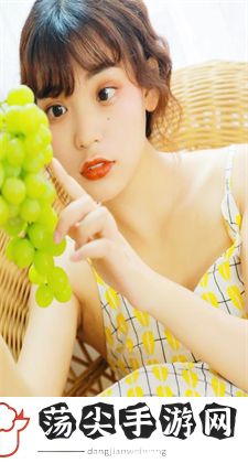9月29号上高速收费吗:高速收费政策概述