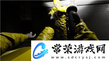 浮生为卿歌的藏品