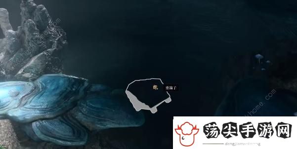 博德之门3溃烂洞穴隐藏宝箱在哪