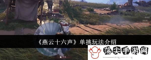 燕云十六声单挑玩法介绍：任务速通技巧与奖励最大化