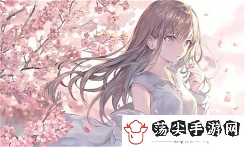 全新体验！成品视频CRM999让创作更高效