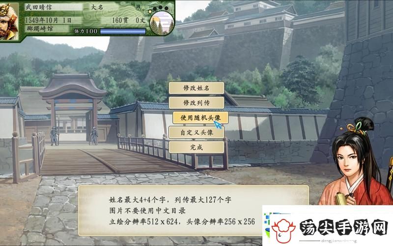 太阁立志传5DX深度解析