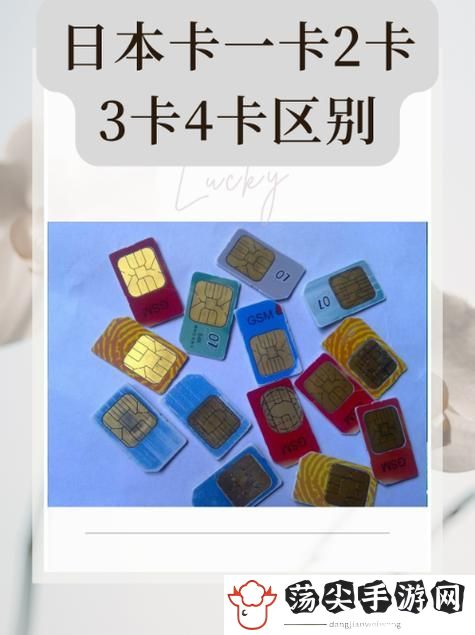 精品1卡二卡三卡四乱码