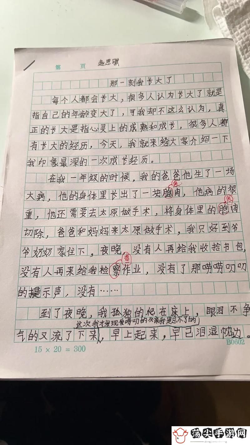坐在学长的棒子上写作业作文片段