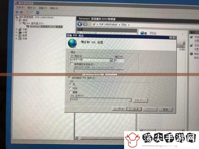 日本windowsserver