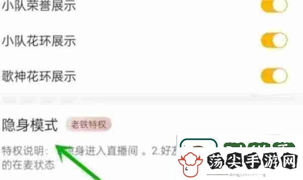 伊对怎么设置隐身模式