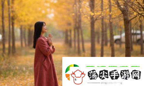 9.1免费版.apk