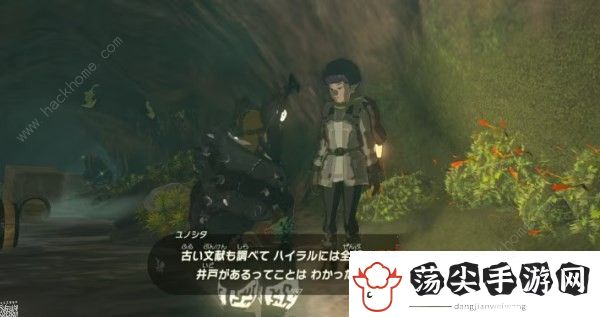 塞尔达传说王国之泪水井怎么开