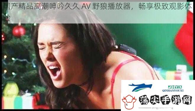 国产精品高潮呻吟久久