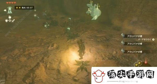 塞尔达传说王国之泪水井怎么开