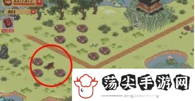 江南百景图应天城郊宝箱攻略