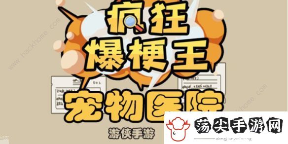 疯狂爆梗王宠物医院怎么过