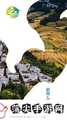 和美元阳本地资讯服务平台