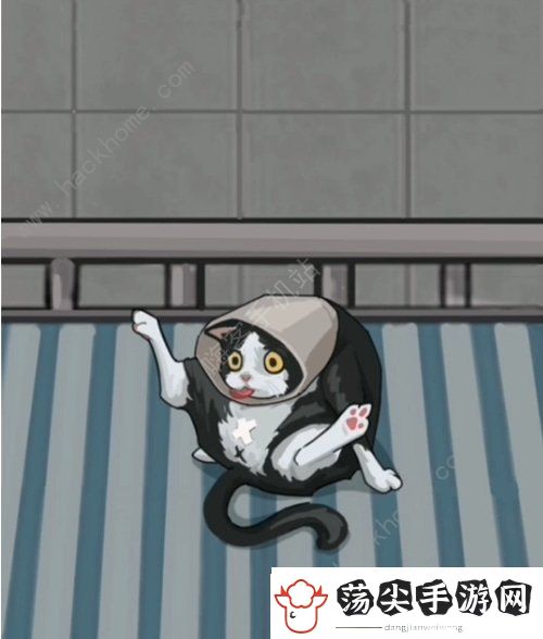 疯狂爆梗王宠物医院怎么过