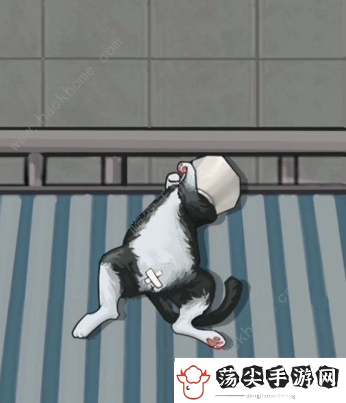 疯狂爆梗王宠物医院怎么过