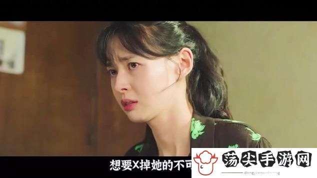 《妻子5》免费完整版高清韩剧