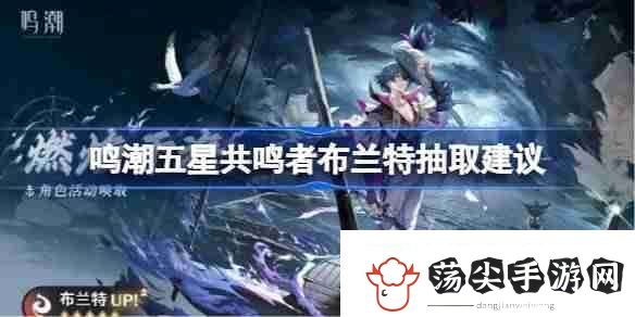 鸣潮五星共鸣者布兰特抽取建议