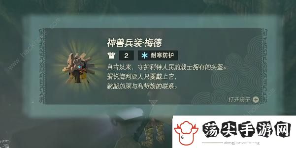 王国之泪沉睡于山中秘泉的秘宝任务怎么做