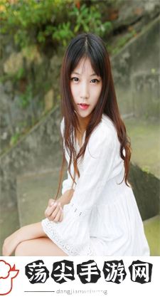 口袋妖怪绿宝石代码：常用代码类型及用途