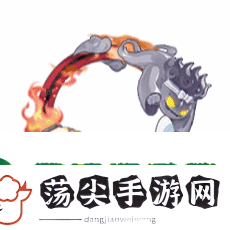 仲夏欢聚