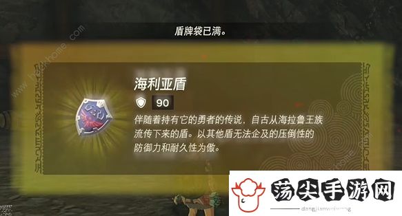 王国之泪海利亚盾碎了怎么办