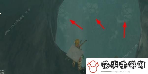 王国之泪沉睡于山中秘泉的秘宝任务怎么做