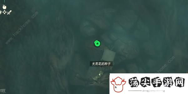 王国之泪沉睡于山中秘泉的秘宝任务怎么做