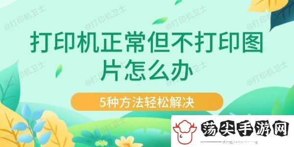 打印机正常但不打印图片怎么办