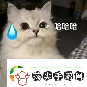 哦哈哟学妹是什么梗