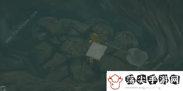 王国之泪沉睡于山中秘泉的秘宝任务怎么做