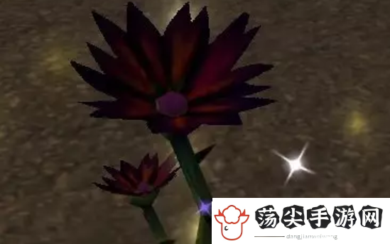 魔兽世界纪念服黑莲花采集地点详细解析