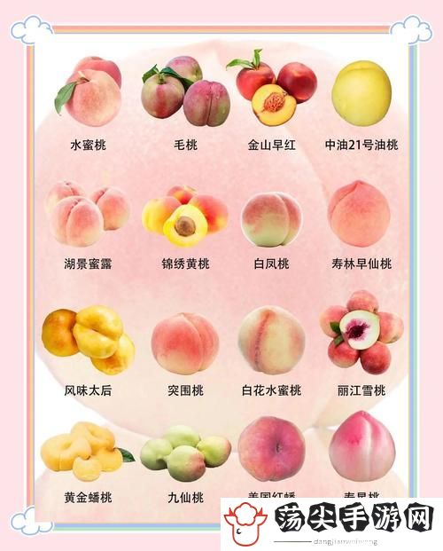 精品蜜桃㊙️一区二区三区分类清晰