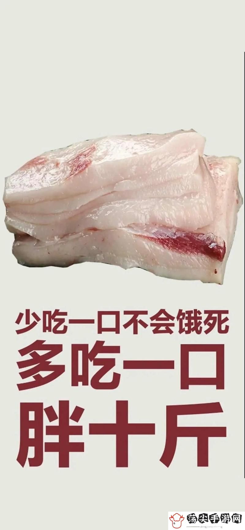 肥肉短篇5字最经典的一句